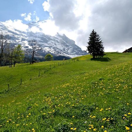 Aspen Alpine Lifestyle Hotel Grindelwald Eksteriør billede