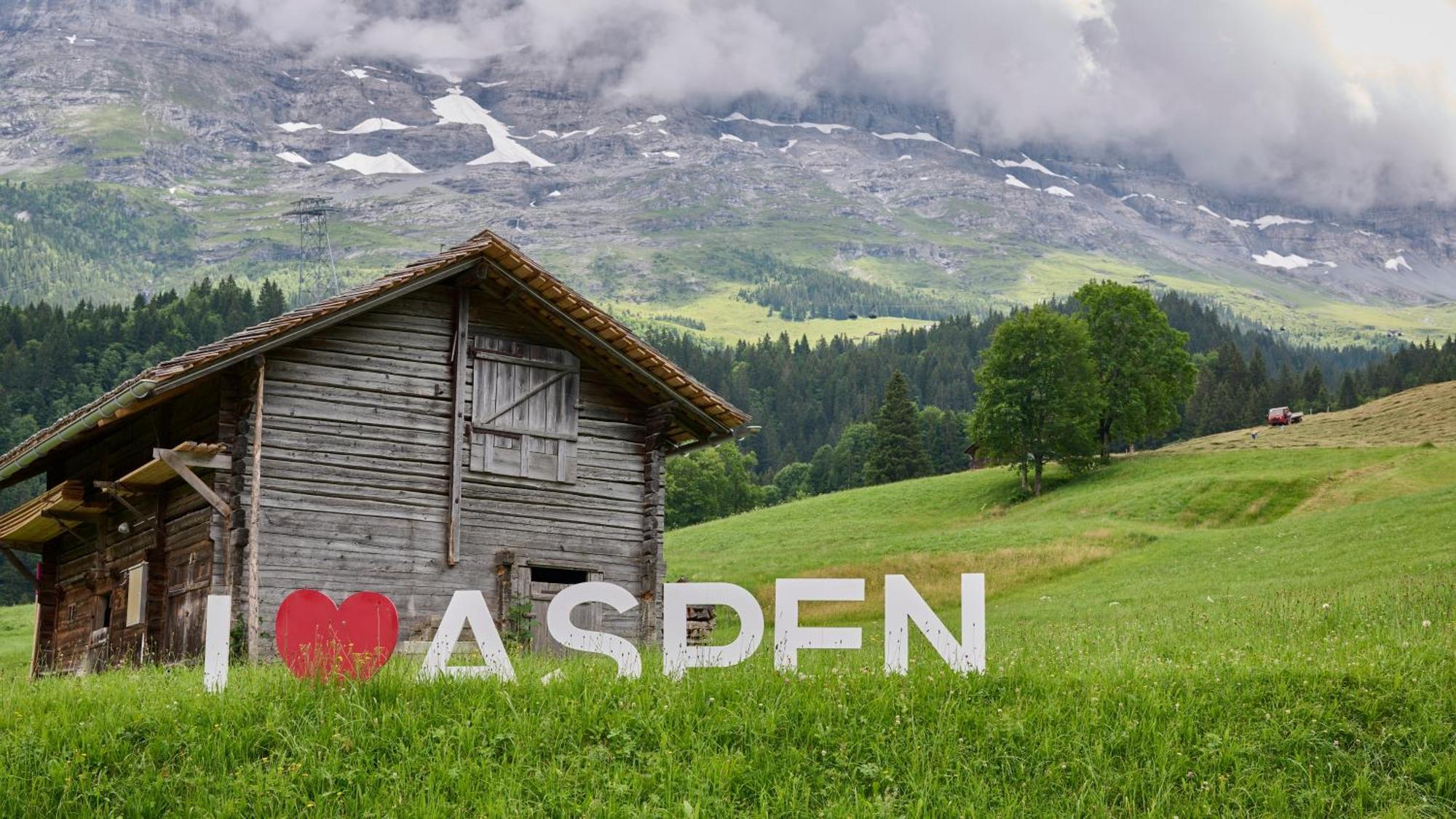 Aspen Alpine Lifestyle Hotel Grindelwald Eksteriør billede