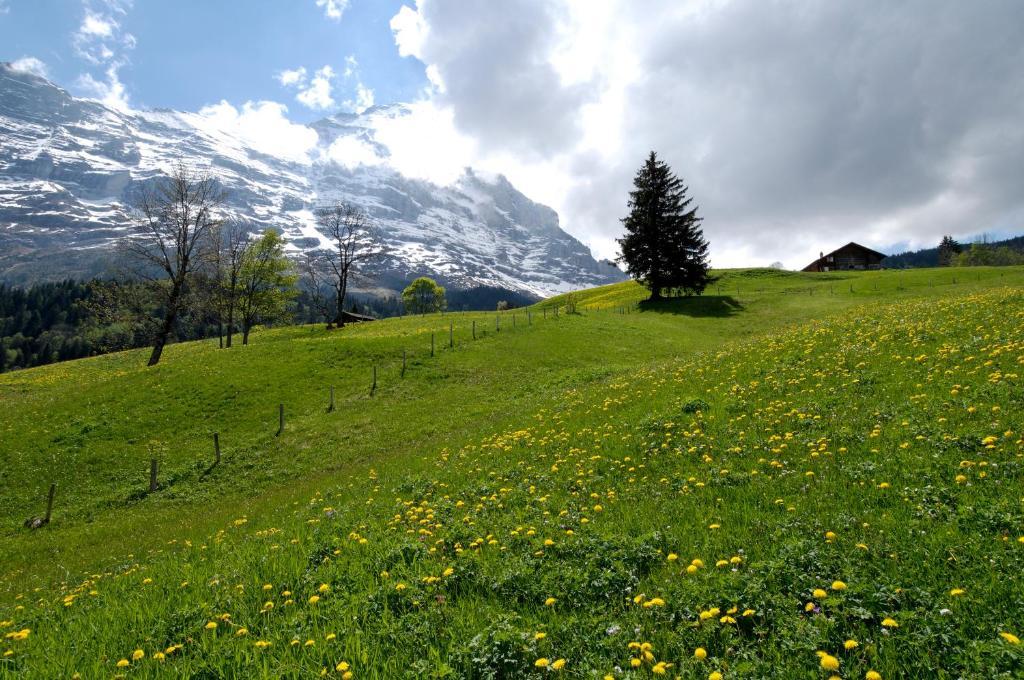 Aspen Alpine Lifestyle Hotel Grindelwald Eksteriør billede