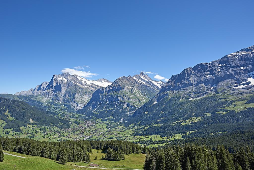 Aspen Alpine Lifestyle Hotel Grindelwald Eksteriør billede